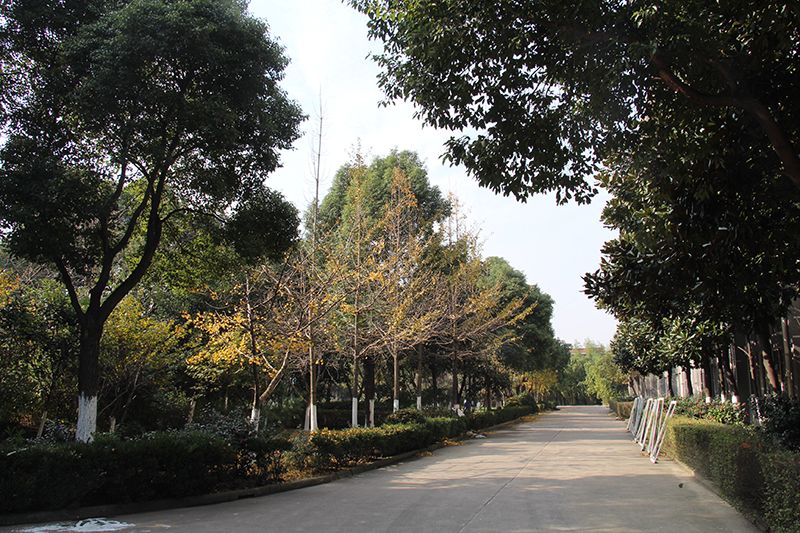 公司宗旨：以人為本，誠信務實，創(chuàng)新進取。